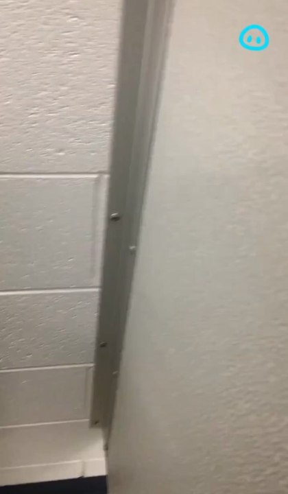 When dooty calls 🤭🚽 Licensed by ViralHog, filmed by @t6xinnovations #bathroom #weird #viral