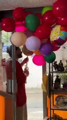 ناصيف زيتون من فيديو كليب "حلوة"