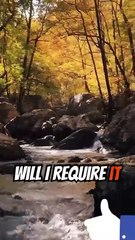Genesis chapter 9 verse 1 to15.