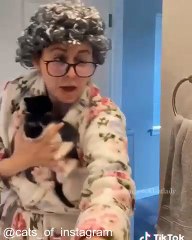 Incroyable ! Ce Chat Sait Ouvrir les Portes_1749886611