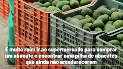 5 dicas para amadurecer o abacate mais rápido