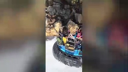 The Disneyland Vlogs | movie | 2024 | Official Trailer