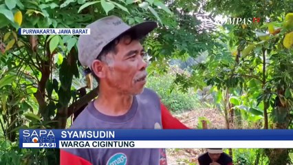 Tanah Bergerak di Purwakarta: Warga Mengungsi dan Pindahkan Makam yang Tergeser, Begini Kondisinya