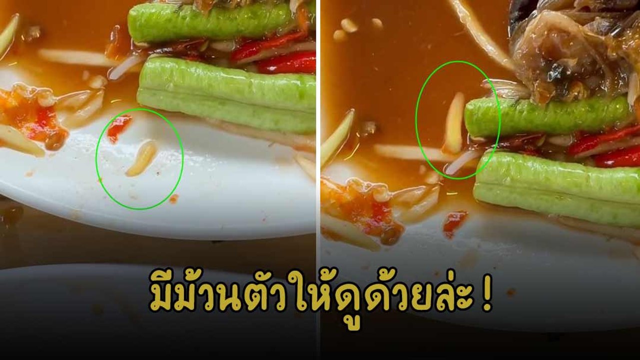 อั๊ยยะ... มีออกมาโชว์ตัวพร้อมกระโดดม้วนหลังให้ดูด้วยล่ะ