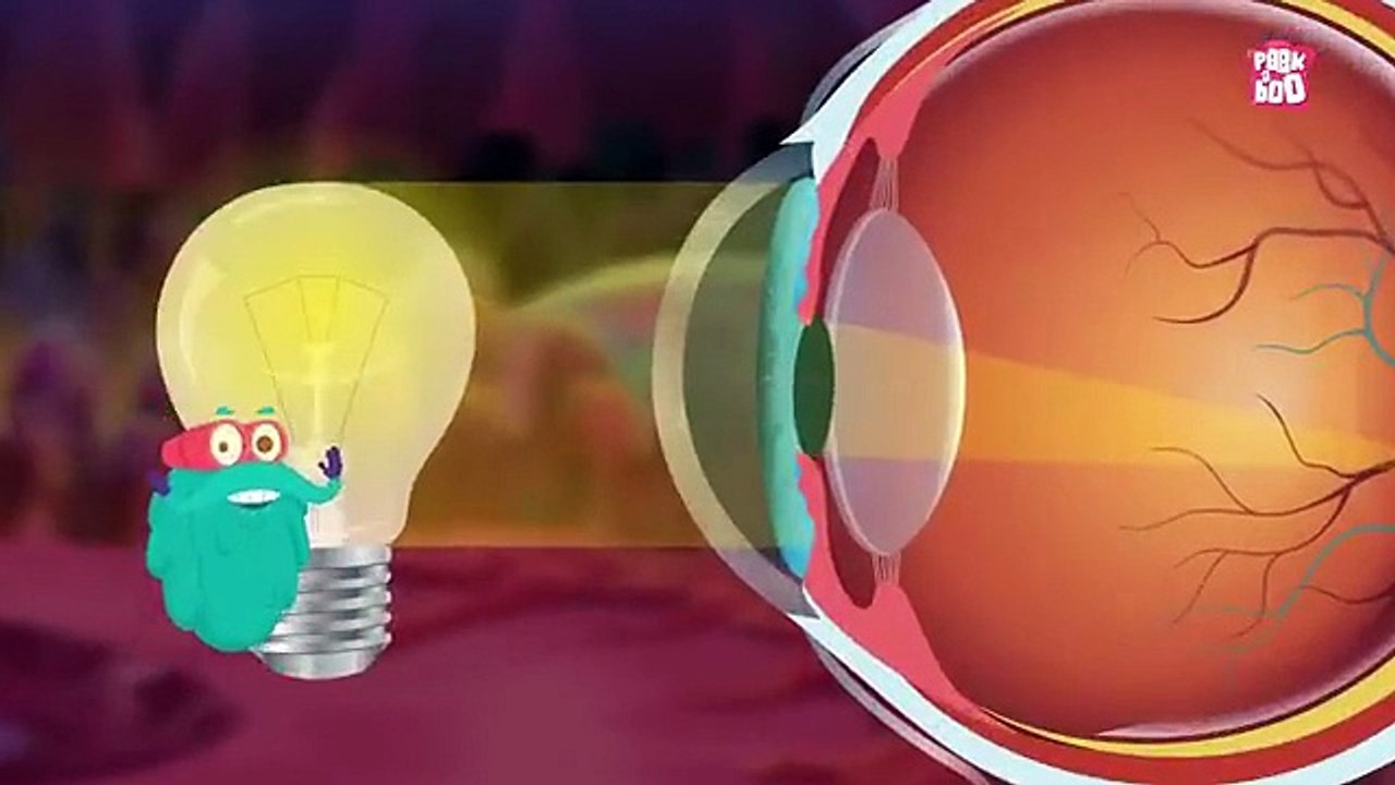 Human_Eye_-_The_Dr._Binocs_Show___Best_Learning_Videos_For_Kids ...