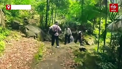 हाथ में डंडा लिए सोनम की पहाड़ पर चढ़ाई, शिलांग में राजा की मौत से पहले का वीडियो वायरल