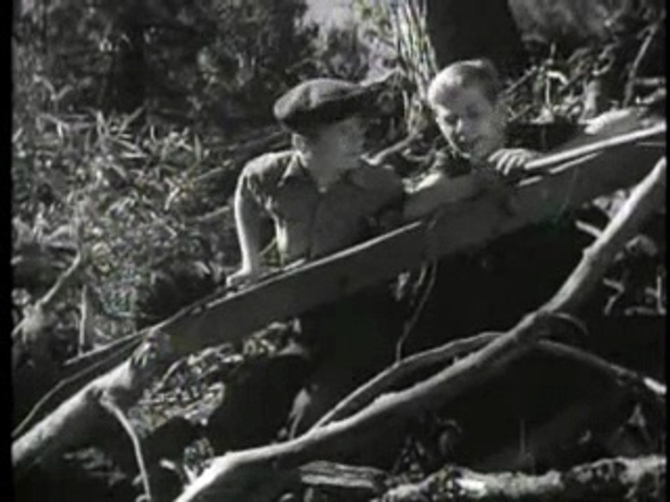 🌾 The Green Promise (1948) | Rural Family Drama 🍀 #fullmovie