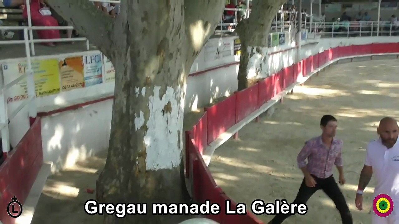 2025 06 08 Gregau