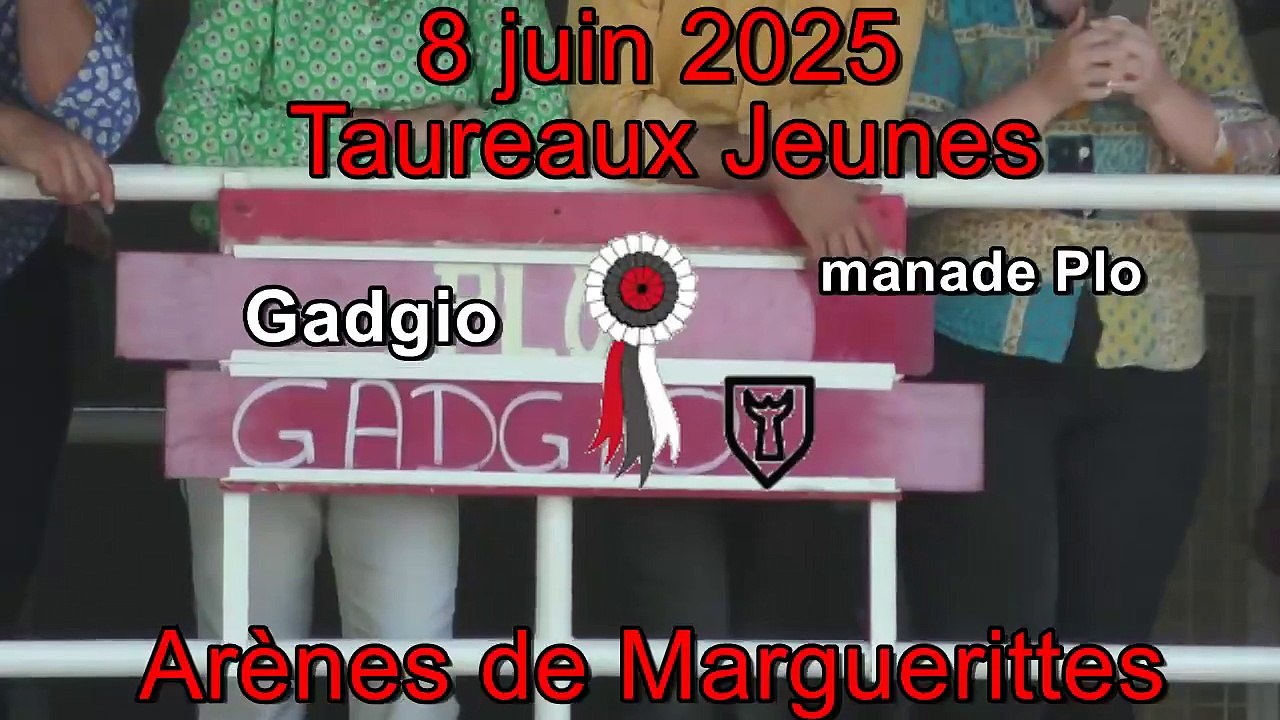 2025 06 08 Gadgio