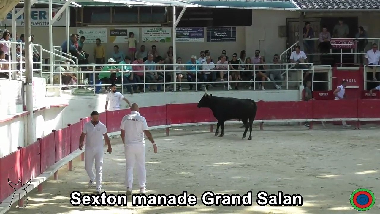 2025 06 08 Sexton