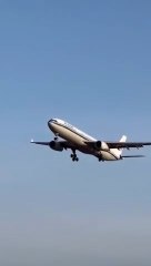 Run,Mommy,Run!Daddy's on the Chase!