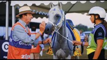 Endurance equestre, a Castiglione del Lago il campionato europeo