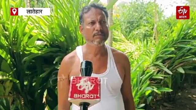 डेढ़ एकड़ बंजर भूमि पर कमाई लाखों में, बड़ी इलायची और आम की खेती से किसान मालामाल!