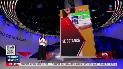 Registro de paseadores de perros y de animales de compañía están estancados