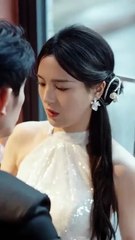 Four Years, One Lie: The Perfect Fiancé's Double Life CN