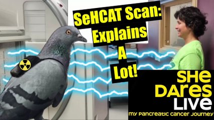 February 2024: inside my 2 SeHCAT scans and results with radioactive pigeons