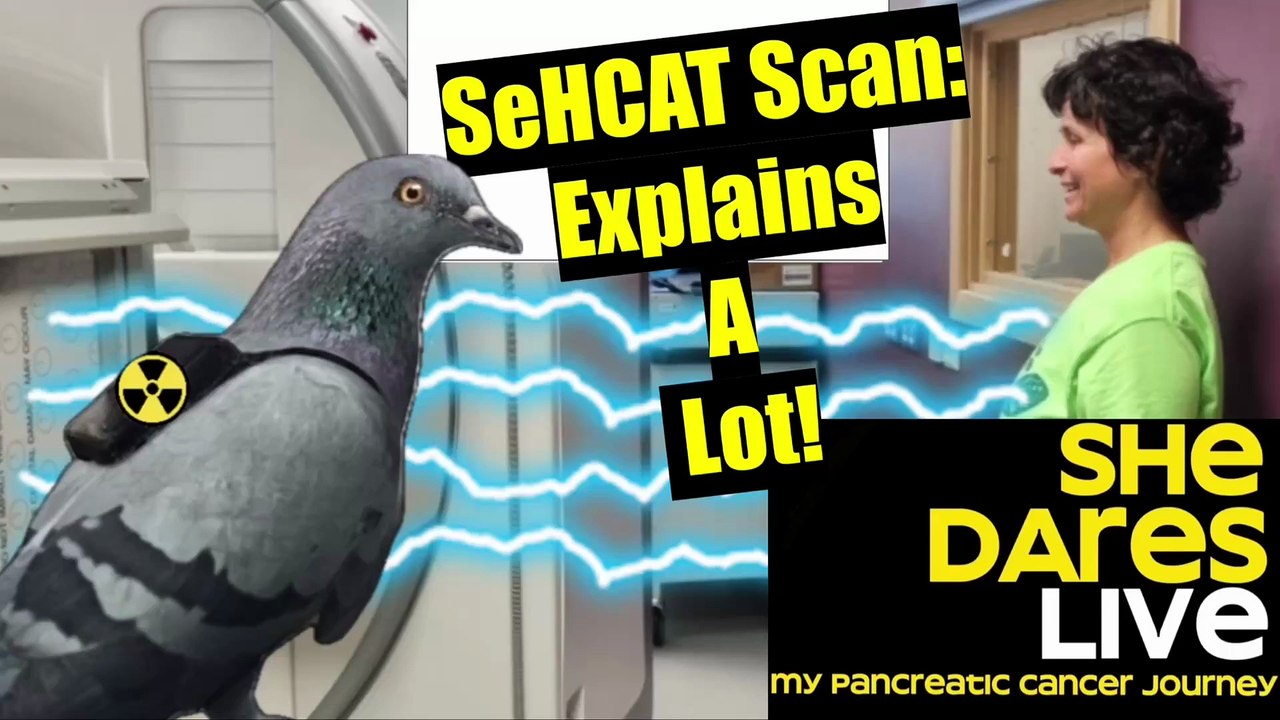February 2024: inside my 2 SeHCAT scans and results with radioactive ...