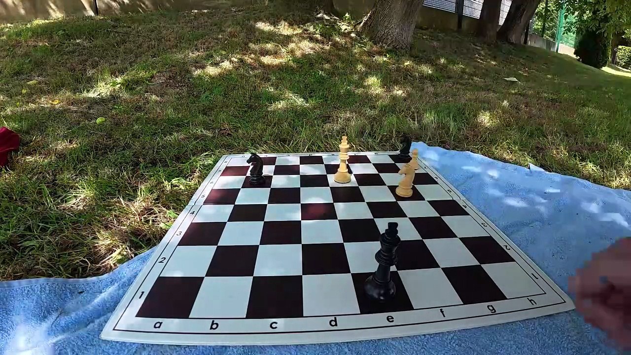 2 chess studies composed by Peter Krug – The second with Mario Guido García