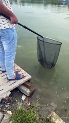 Big Fish Challenge at the Fishing Pond