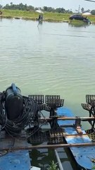 Big Fish Challenge at the Fishing Pond