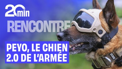 On a rencontré Peyo, le premier chien d’intervention guidé par drone de l’armée