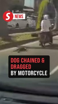 Biker seen dragging dog by chain in viral video