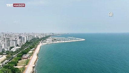 Akdeniz ve Ege'deki köpek balıkları saldırgan mı?