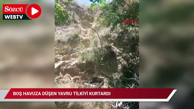 Boş havuza düşen yavru tilkiyi kurtardı; o anlar kamerada