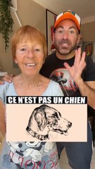 Vous avez vu autre chose ?