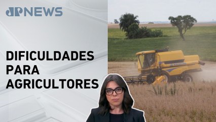 Mariana Grilli: Safra 2025/26 pode enfrentar crédito restrito por riscos no campo