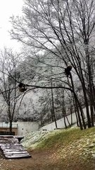 The daily life of pandas 🐼   #Panda #Lovely