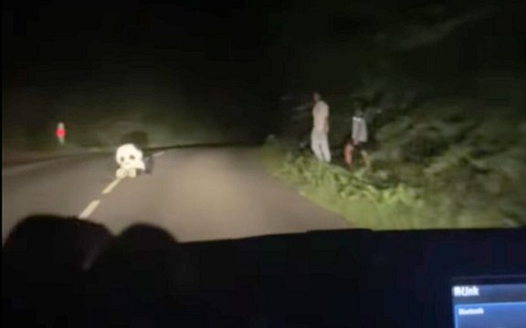 Oise : des jeunes s’amusent à effrayer les voitures avec un panda en peluche sur la route