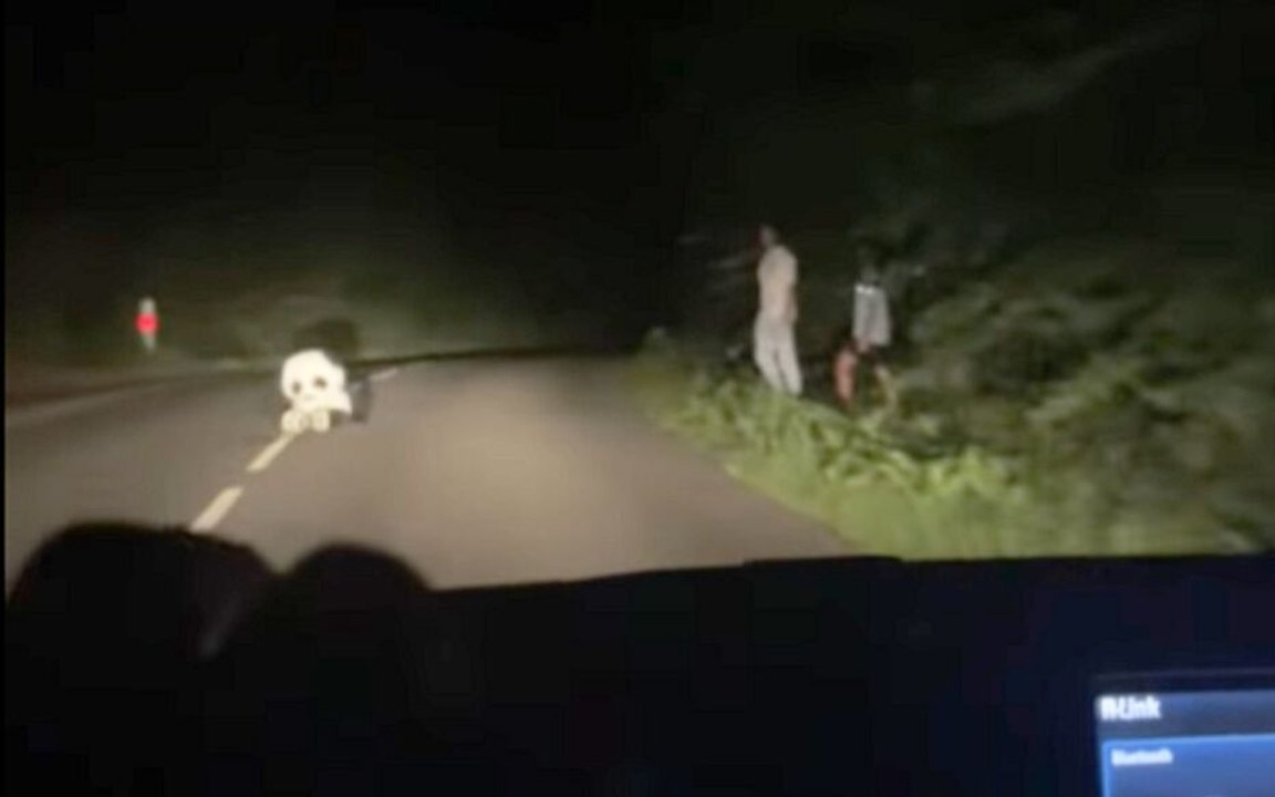 Oise : des jeunes s’amusent à effrayer les voitures avec un panda en peluche sur la route