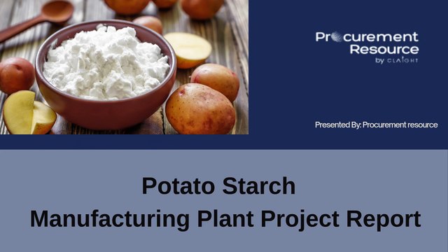 Potato Starch Manufacturing Plant Project Report