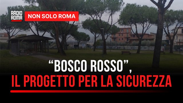Parchi protetti per le donne a Roma e nel Lazio, il progetto Bosco Rosso