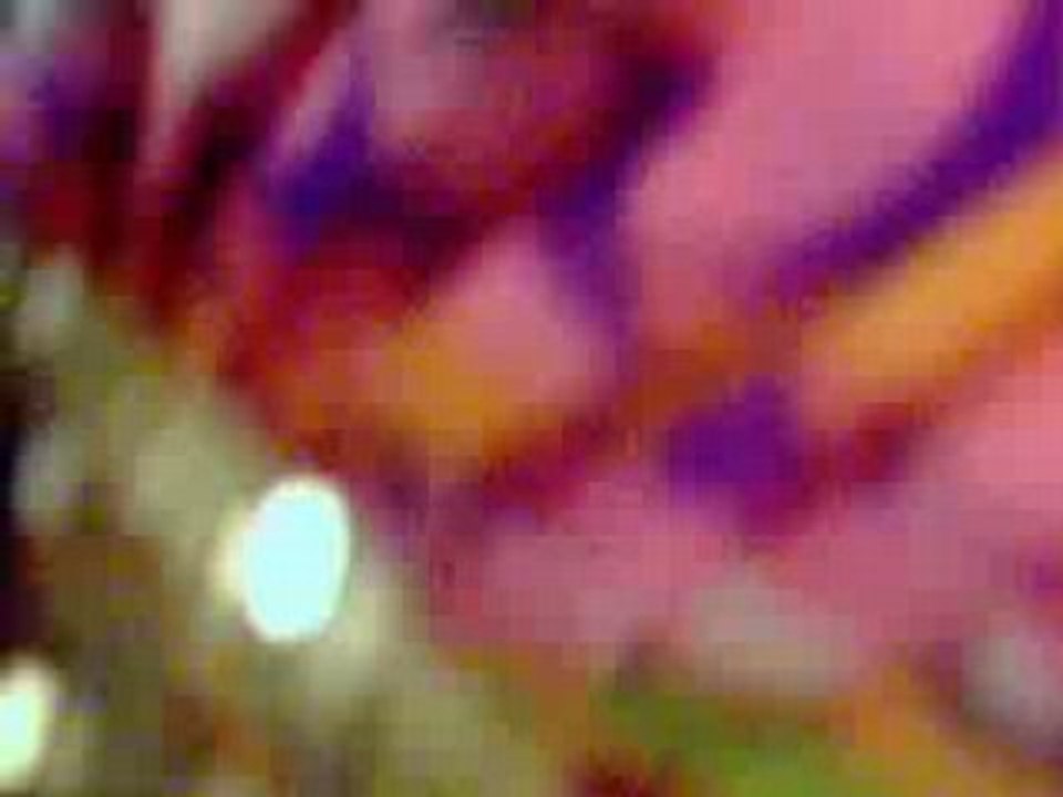 BOURO MPELA