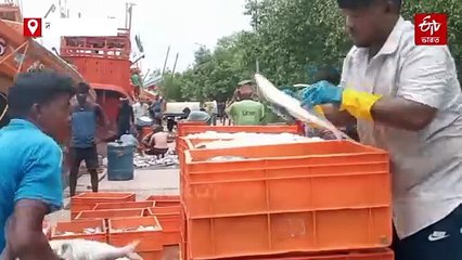 ভোজন রসিকদের জন্য সুখবর ! মরশুমের প্রথম ইলিশ ভর্তি ট্রলার ঢুকল বন্দরে, মাছের ওজন কত ?