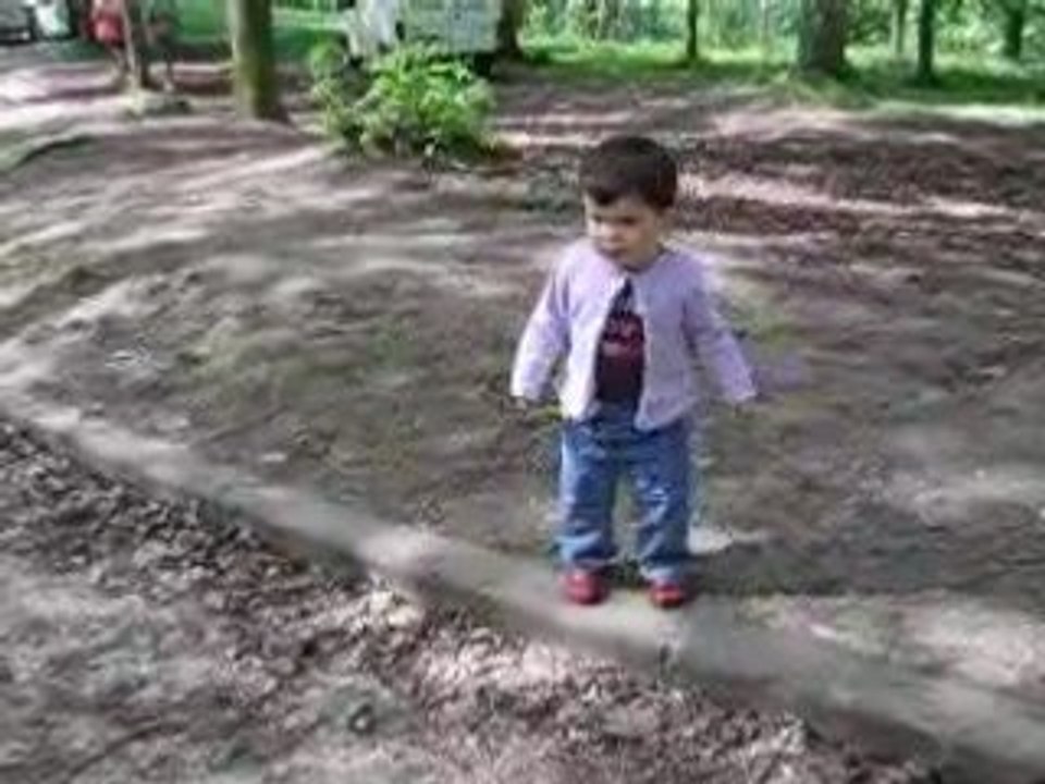 Les sauts de la puce