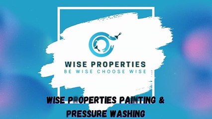 Wise Properties Painting & Pressure Washing