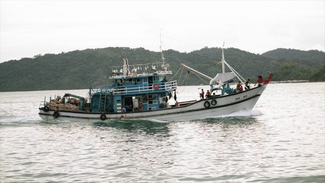 Nuove risorse per la filiera ittica