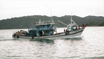 Nuove risorse per la filiera ittica