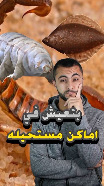 أغرب 3 حيوانات بتعيش في أماكن مستحيلة! 😱🏜️https://psce.pw/7qxmd7#النواة #دب_الماء #التارديغرادا #Alnawa #dubai🇦🇪 #dubailife #Hadrurus_arizonensis #Euthynnus_alletteratus #Tardigrada #trending #travel #nature #wildlife