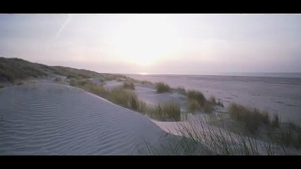 Meeresrauschen mit Möwen [Wellenrauschen zum Einschlafen _ Nordsee]