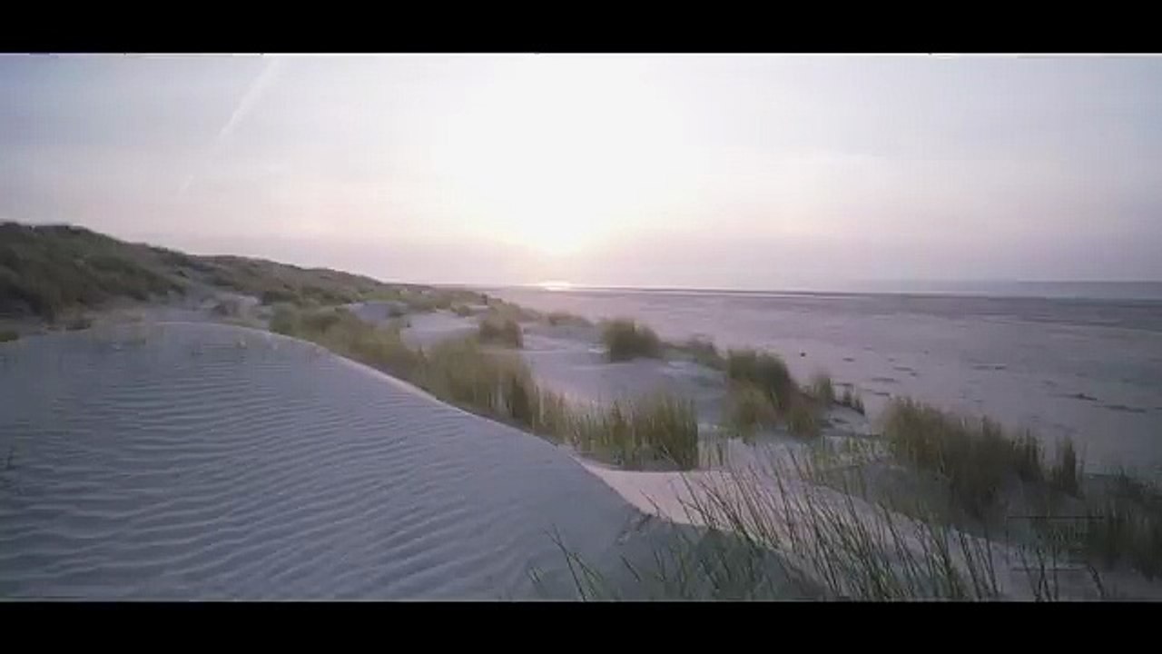 Meeresrauschen mit Möwen [Wellenrauschen zum Einschlafen _ Nordsee]