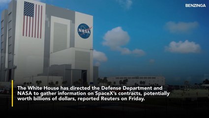White House Orders Scrutiny Of SpaceX Contracts