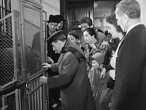 La Banda degli Onesti _ Commedia _ Film Completo in Italiano