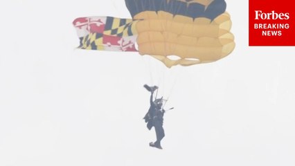 Golden Knights Parachute Into Washington, D.C., For The U.S. Army's 250th Birthday Parade