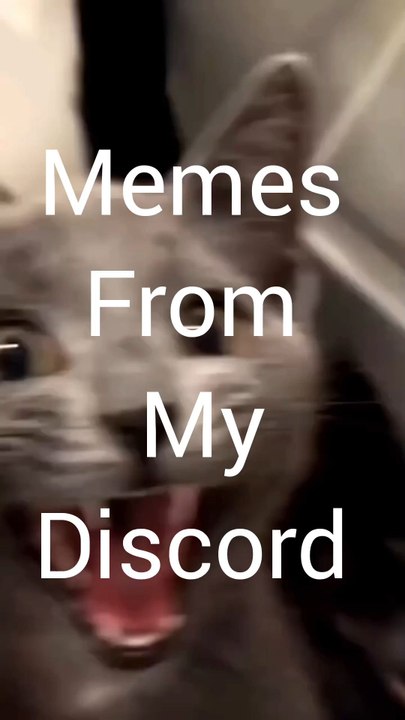 Meme compilation -3