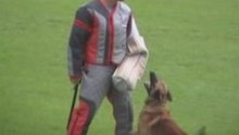 FMBB-2008-Damböck/Wolf
