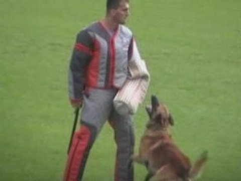 FMBB-2008-Damböck/Wolf